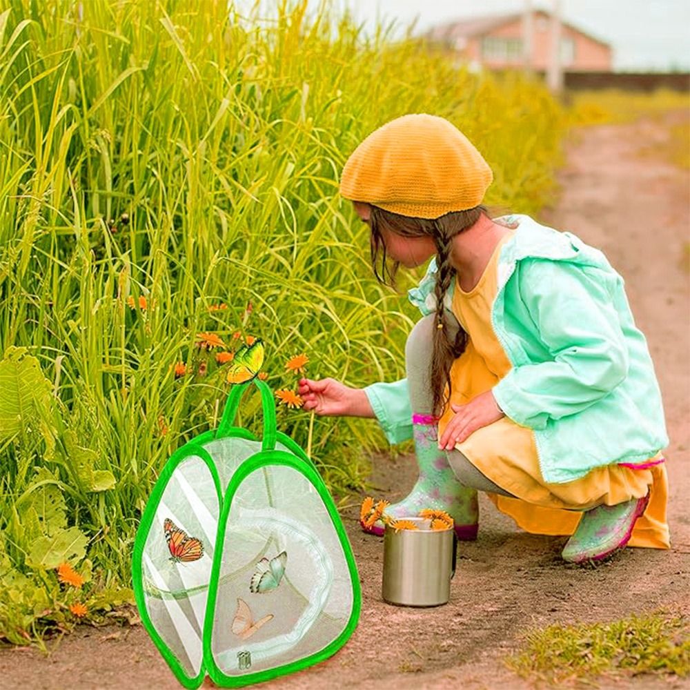 Green Collapsible Insect Cage  - Green Screen Collapsible 评论和价格