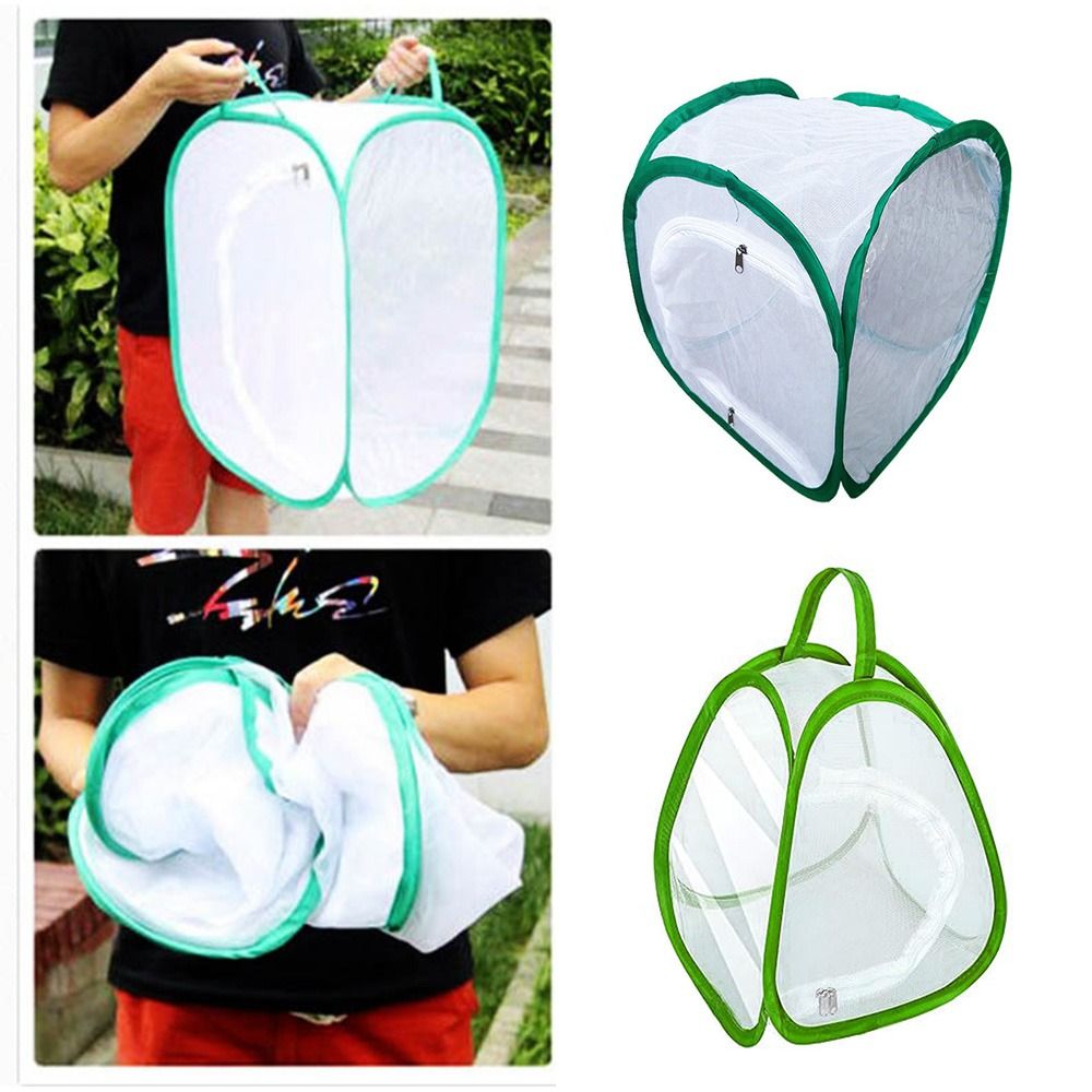 Green Collapsible Insect Cage  - Green Screen Collapsible 评论和价格