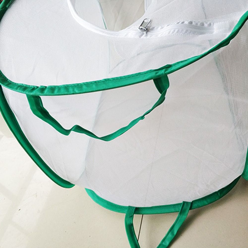 Green Collapsible Insect Cage  - Green Screen Collapsible 评论和价格