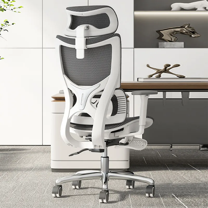 Ergonomic Computer Office Chai - Esports & Gaming Optics Gmbh 评论和价格
